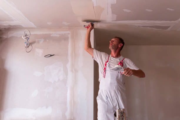 Best Drywall Sanding and Smoothing  in Millbourne, PA